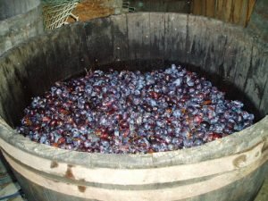 alkoholna fermentacija